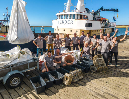 Persbericht: Tuimelaar reageert enthousiast op sportduikers die afval verwijderen van wrakken in de Noordzee