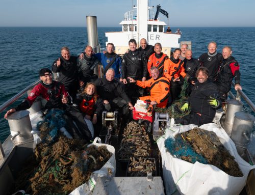 PERSBERICHT: Sportduikers verwijderen 3350 kilo afval uit Noordzee vol zeepaarden