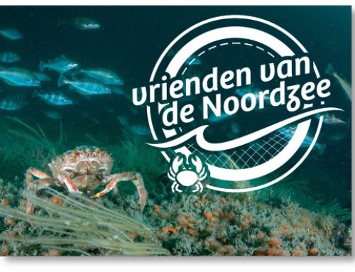 Onze vrienden in de spotlight: Wouter Lengkeek van Bureau Waardenburg Ecology