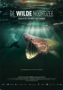 Poster De Wilde Noordzee