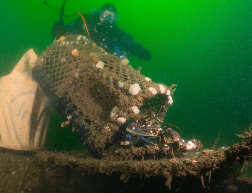 Expeditie 27: Wrakken, kreeftenkooien & groene marsmannetjes boven de Waddeneilanden