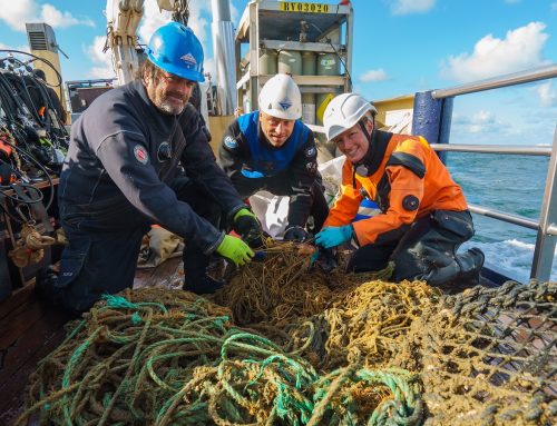 Duikers halen 2,5 ton aan visnet boven water