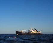 MS Tender op zee (© Marloes Otten - SDDNS)