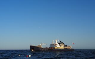 MS Tender op zee (© Marloes Otten - SDDNS)