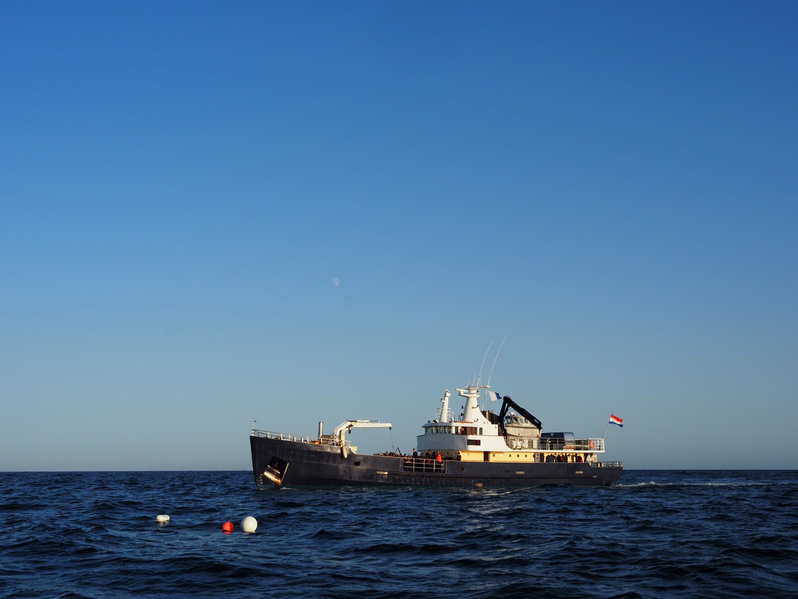 MS Tender op zee (© Marloes Otten - SDDNS)